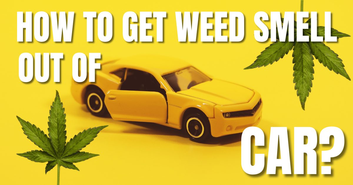 How To Get the Weed Smell Out of The Car?