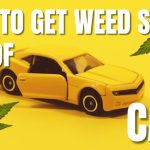 How To Get The Weed Smell Out Of The Car?
