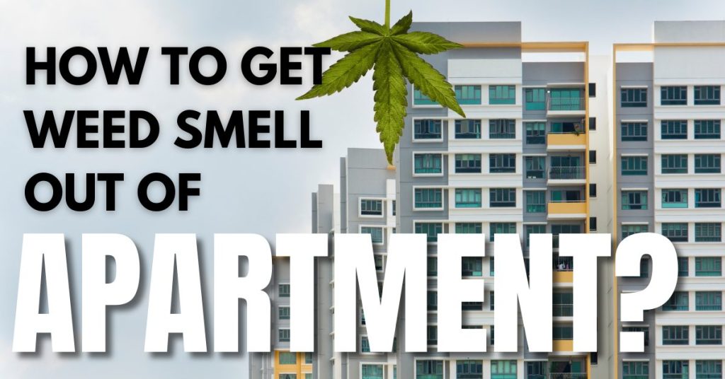 How To Get The Weed Smell Out Of The Apartment?